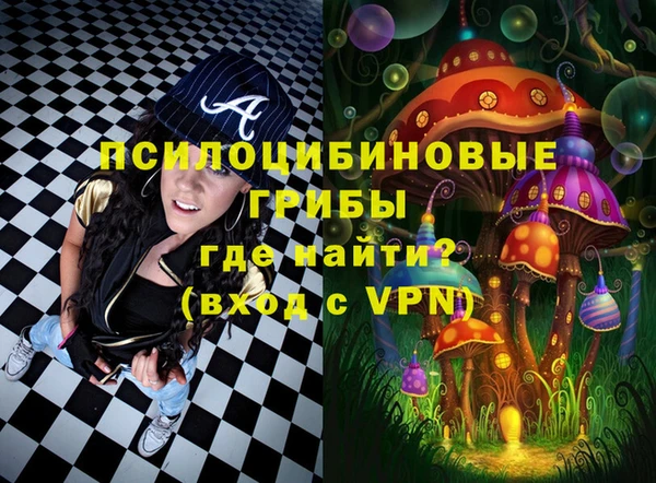 ешки Балахна