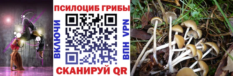 Галлюциногенные грибы Psilocybine cubensis  это наркотические препараты  Ясногорск  купить закладку 